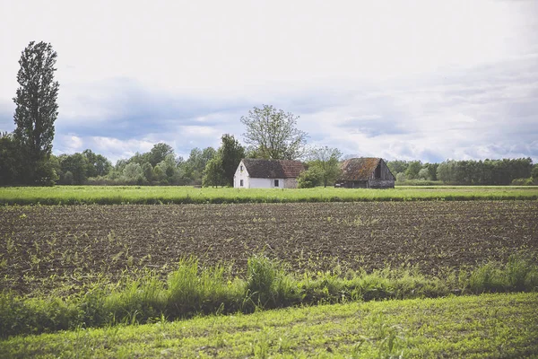 Fält Med Unga Grödor Och Dramatisk Gråhimmel Och Gammal Övergiven — Stockfoto