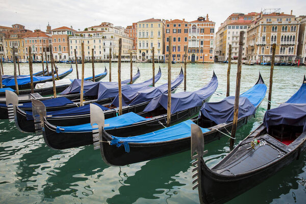 Gondolas alogned on the Grand Canal, Venice Italy