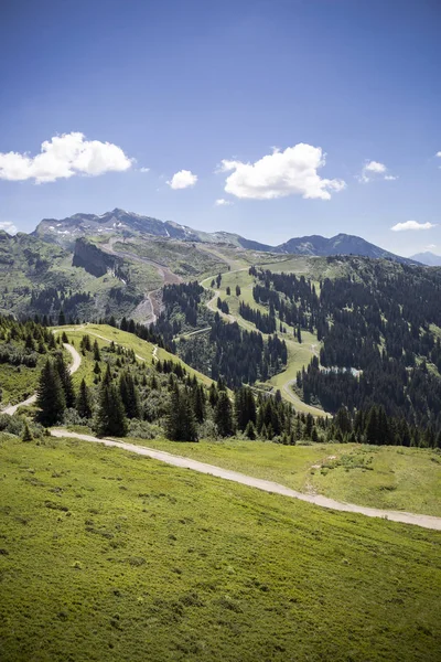 Bucolic Zielone Lato Alpejski Krajobraz Alpy Szwajcarskie Masyw Górski Canton — Zdjęcie stockowe