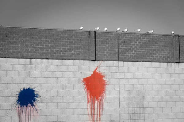 Black White Image Concrete Brick Wall Colorful Red Paint Splash — Stock Photo, Image