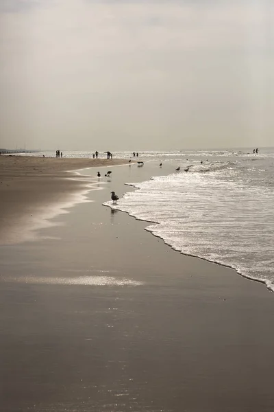 해변의 배회하는 사람들 — 스톡 사진