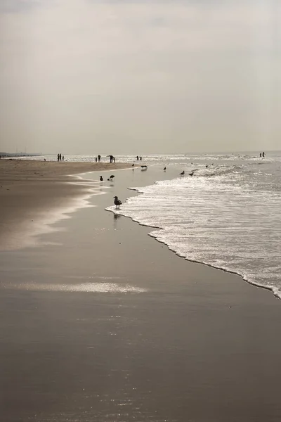 日没時に砂浜の海岸近くをさまよっている人々 — ストック写真