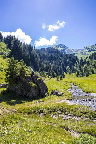 Bucolic Zielone Lato Alpejski Krajobraz Alpy Szwajcarskie Masyw Górski Canton — Zdjęcie stockowe