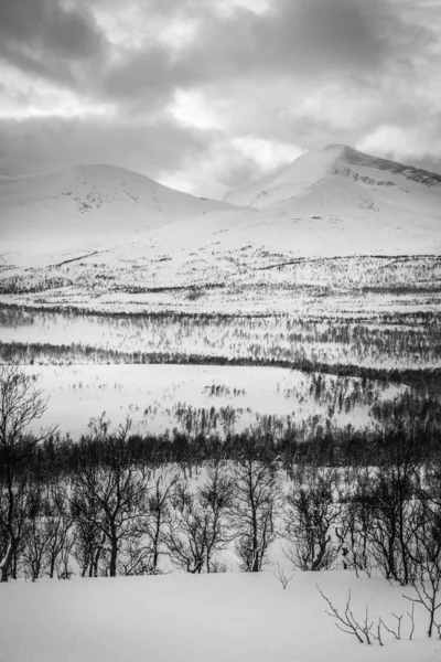 Paesaggio Montano Norvegese Innevato Nordland Norvegia — Foto Stock