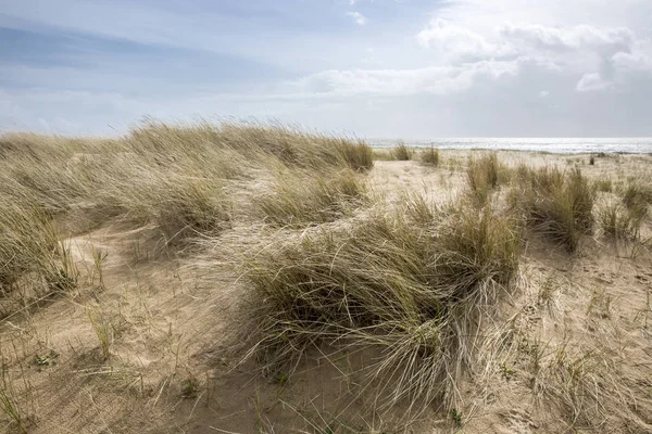 法国文迪市Laiguillon Sur Mer海滩上的沙丘 — 图库照片