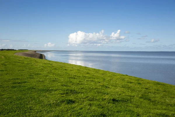 Nederlands Landschap Met Zicht Waddenzee Een Dam Met Groen Gras — Stockfoto