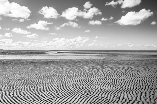 Černobílá Námořní Krajina Odrazem Mraků Vodě Nízkým Přílivem Waddenzee Friesland — Stock fotografie