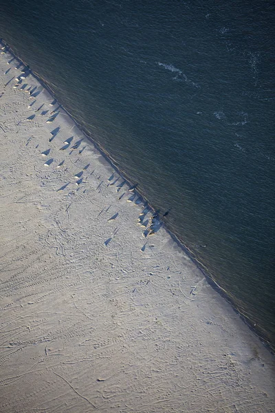 Aerial View Robbeneiland Beach Its Colony Sea Lions Ameland Frisian — Stock Photo, Image