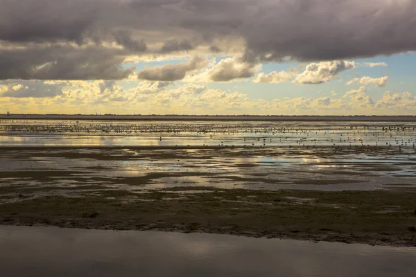 Ameland Adası Nın Kıyı Şeridi Yağmurlu Deniz Manzaralı Bulutlar Şafak — Stok fotoğraf