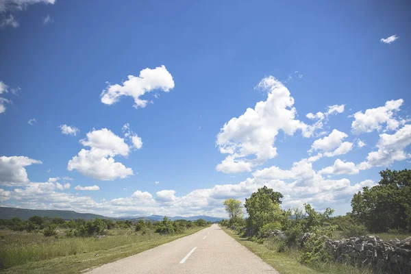 Väg Som Går Genom Den Soliga Våren Eller Sommarlandet Södra — Stockfoto