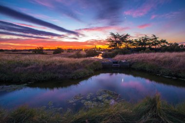 Güneş doğarken tuzlu bataklığın panoramik manzarası, Olonne bölgesi, Vendee, Fransa