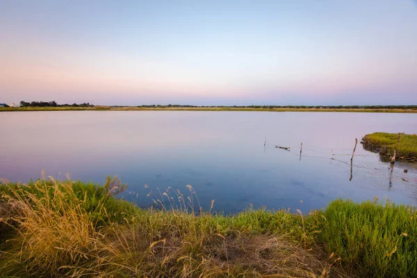 Blick Auf Die Salzwiesen Bei Sonnenaufgang Gebiet Olonne Vendee Frankreich — Stockfoto