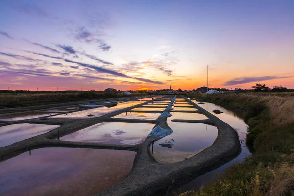 Güneş doğarken tuzlu bataklığın panoramik manzarası, Olonne bölgesi, Vendee, Fransa