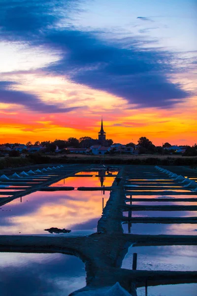 Vista Panorámica Las Marismas Amanecer Zona Olonne Vendee Francia Imágenes De Stock Sin Royalties Gratis