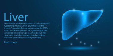 İnsan karaciğeri tıbbi organı. mavi arka planda düşük Poly tel kafes Tema kavramı. İllüstrasyon vektör.