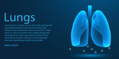 İnsan akciğerleri tıbbi organ. mavi arka planda düşük Poly tel kafes Tema kavramı. İllüstrasyon vektör.