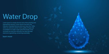 Su damlası ve bağlantı ışık hatları, düşük Poly Aqua Eco Tema kavramı. vektör illüstrasyon