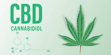 Esrar CBD (Cannabidiol) arka plan kimyasal formülü. Vektör Illustration