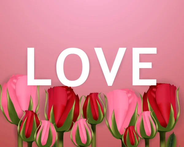 Love Font typ, alla hjärtans dag och rosor rosa bakgrund. — Stock vektor