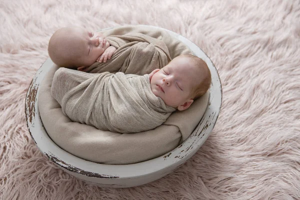 Twin Newborns Basket — Stock Photo, Image