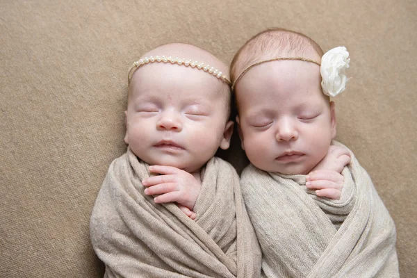 Recién Nacidos Gemelos Una Cesta —  Fotos de Stock