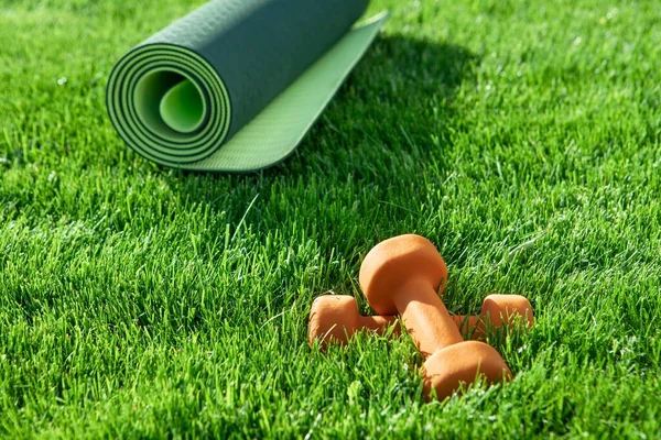 Dambıllar, yeşil çimlerde yoga minderi. Parlak renkler. Ön manzara. Dışarıdaki konsept fitness, spor, sağlıklı yaşam tarzı, karantina, spor salonu. Güneşli bir gün. Uzayı kopyala Kimse.