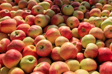 Süpermarkette satılık çok elma var.