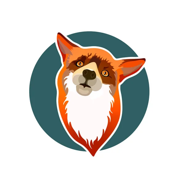 Curious Fox Green Circle — Stock Photo, Image