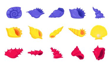 Farklı renkli deniz kabukları kümesi