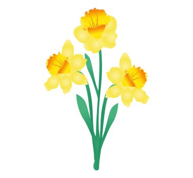 Üç bahar çiçek buketi