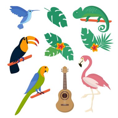 Yaz tropikal grafik öğeleri. Papağan,