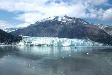 Glacier Bay Milli Parkı Alaska, ABD