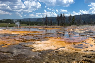 Yellowstone Ulusal Parkı, ABD