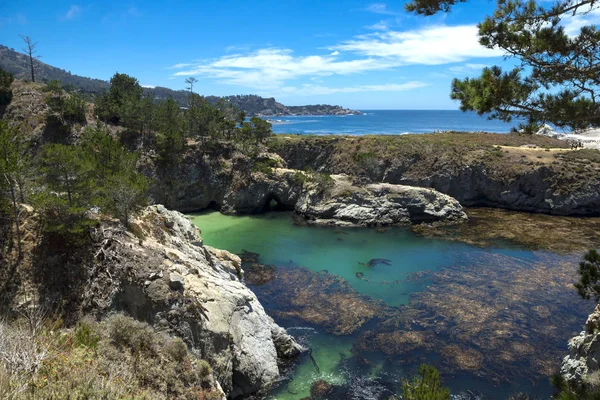 Κίνα Cove Στο Σημείο Lobos Κράτος Φυσικό Απόθεμα Ηπα — Φωτογραφία Αρχείου