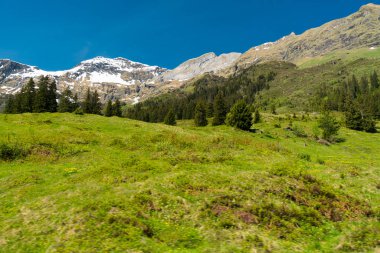 Muhteşem dağ manzaralarına ve yürüyüş Lauterbrunnen bölge, İsviçre İsviçre Alpleri peyzaj Stechelberg yakınındaki iz