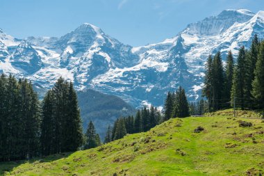Muhteşem dağ manzaralarına ve yürüyüş Lauterbrunnen bölge, İsviçre İsviçre Alpleri peyzaj Stechelberg yakınındaki iz