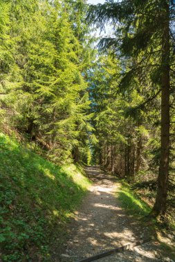 Muhteşem dağ manzaralarına ve yürüyüş Lauterbrunnen bölge, İsviçre İsviçre Alpleri peyzaj Stechelberg yakınındaki iz