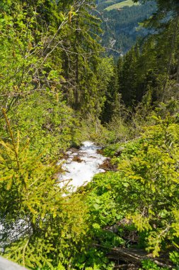 Muhteşem dağ manzaralarına ve yürüyüş Lauterbrunnen bölge, İsviçre İsviçre Alpleri peyzaj Stechelberg yakınındaki iz