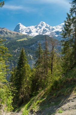 Muhteşem dağ manzaralarına ve yürüyüş Lauterbrunnen bölge, İsviçre İsviçre Alpleri peyzaj Stechelberg yakınındaki iz