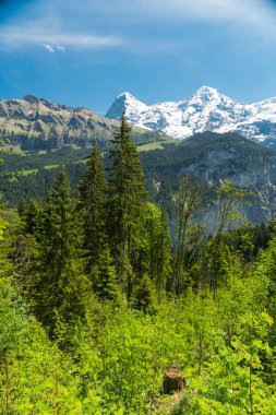 Muhteşem dağ manzaralarına ve yürüyüş Lauterbrunnen bölge, İsviçre İsviçre Alpleri peyzaj Stechelberg yakınındaki iz