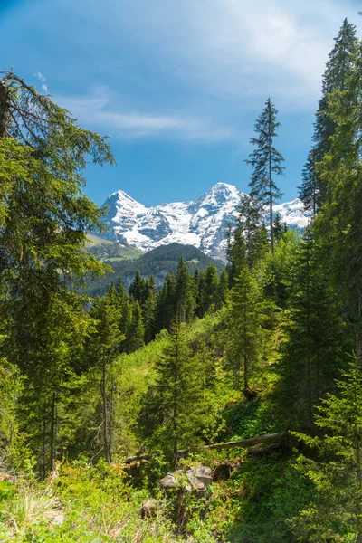 Wspaniałe Widoki Góry Piesze Wycieczki Szlak Szwajcarskich Alpach Krajobrazu Pobliżu — Zdjęcie stockowe