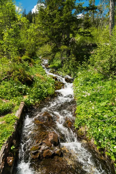 Velkolepý Výhled Hory Turistiku Trail Krajině Švýcarských Alpách Poblíž Stechelberg — Stock fotografie