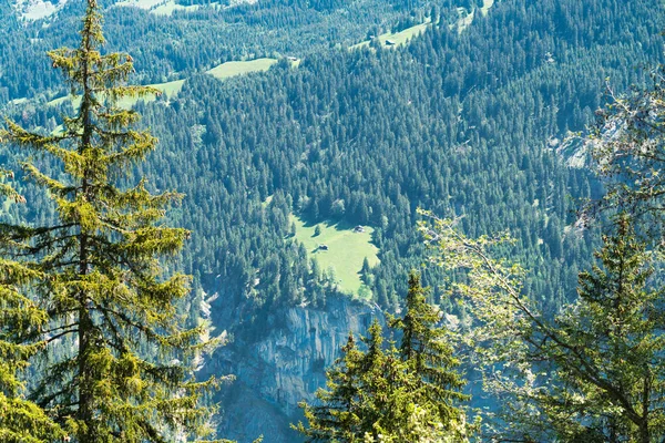 瑞士劳特布龙嫩区施特歇尔贝格附近的瑞士阿尔卑斯山景观 欣赏壮观的山景和远足小径 — 图库照片