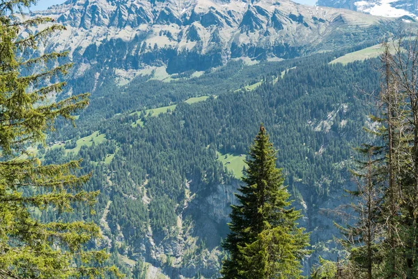 Spektakulärer Bergblick Und Wanderweg Der Schweizer Alpenlandschaft Bei Stechelberg Bezirk — Stockfoto