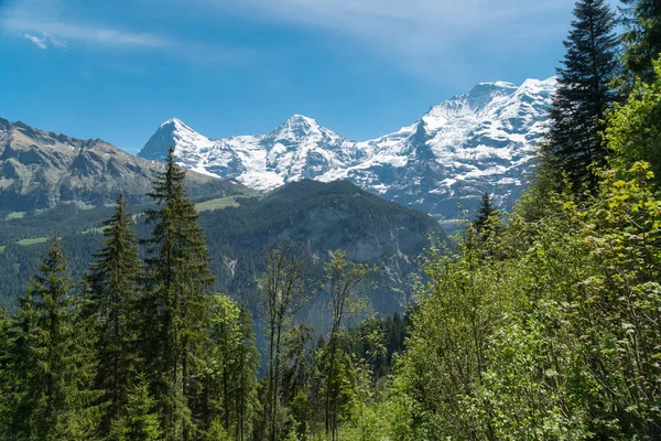 Velkolepý Výhled Hory Turistiku Trail Krajině Švýcarských Alpách Poblíž Stechelberg — Stock fotografie