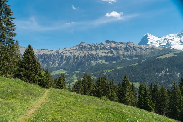 Vistas Espectaculares Montaña Senderismo Paisaje Los Alpes Suizos Cerca Stechelberg — Foto de Stock