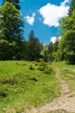Lauterbrunnen bölge, İsviçre İsviçre Alpleri peyzaj Stechelberg yakınındaki iz hiking