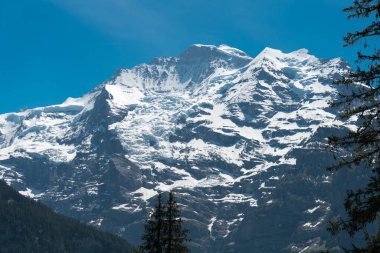 Murren, ilçe Lauterbrunnen, İsviçre Jungfrau dağ üstten görünümünü. Jungfrau Bernese Alplerdeki ana zirveleri biridir.