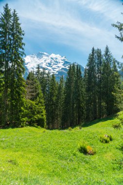 Muhteşem dağ manzaralarına ve yürüyüş Lauterbrunnen bölge, İsviçre İsviçre Alpleri peyzaj Stechelberg yakınındaki iz