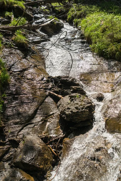 Beautiful Mountain Stream Forest Murren District Lauterbrunnen Switzerland — Stock Photo, Image